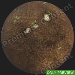 PBR Substance Material of Ground Forest #2